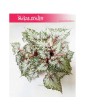 Begonia Rex Beleaf Asian Tundra, Begonia, Begonia Rex, Begonia Beleaf 3