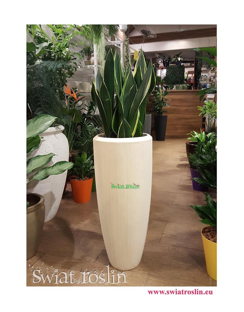 Donica naturalna - Polystone Partner Natural, duża roślina