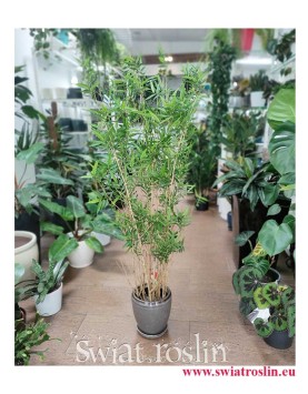 Bambus sztuczny, Bamboo Oriental, Roślina sztuczna, Bambus,  Sztuczny Bambus, sklep z roślinami sztucznymi online
