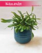 Osłonka ceramiczna turkusowa - Iris