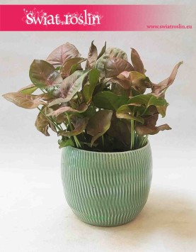 Osłonka ceramiczna szkliwiona karbowana owalna zielona 2