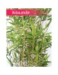 Bambus sztuczny, Bamboo Oriental, Roślina sztuczna, Bambus,  Sztuczny Bambus 1