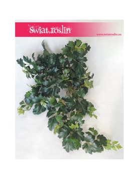 Cissus Ellen Danica sztuczny, Sztuczny Bluszcz, Roślina sztuczna 2