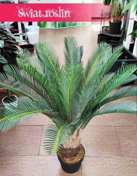Sztuczny Cycas Revoluta sklep w krakowie, Sagowiec wygięty roślina sztuczna