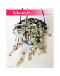 Ceropegia Woodii Variegata, Ceropegia Wooda Variegata 4