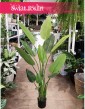 Sztuczna Strelitzia Nicolai do biura do mieszkania do firmy z dostawą lub stacjonarnie w Krakowie, Strelicja biała sztuczna