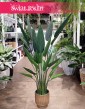 Heliconia sztuczna, sztuczna Helikonia - roślina sztuczna