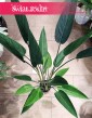 Heliconia sztuczna do kupienia w Krakowie lub online z dostawą, sztuczna Helikonia - roślina sztuczna