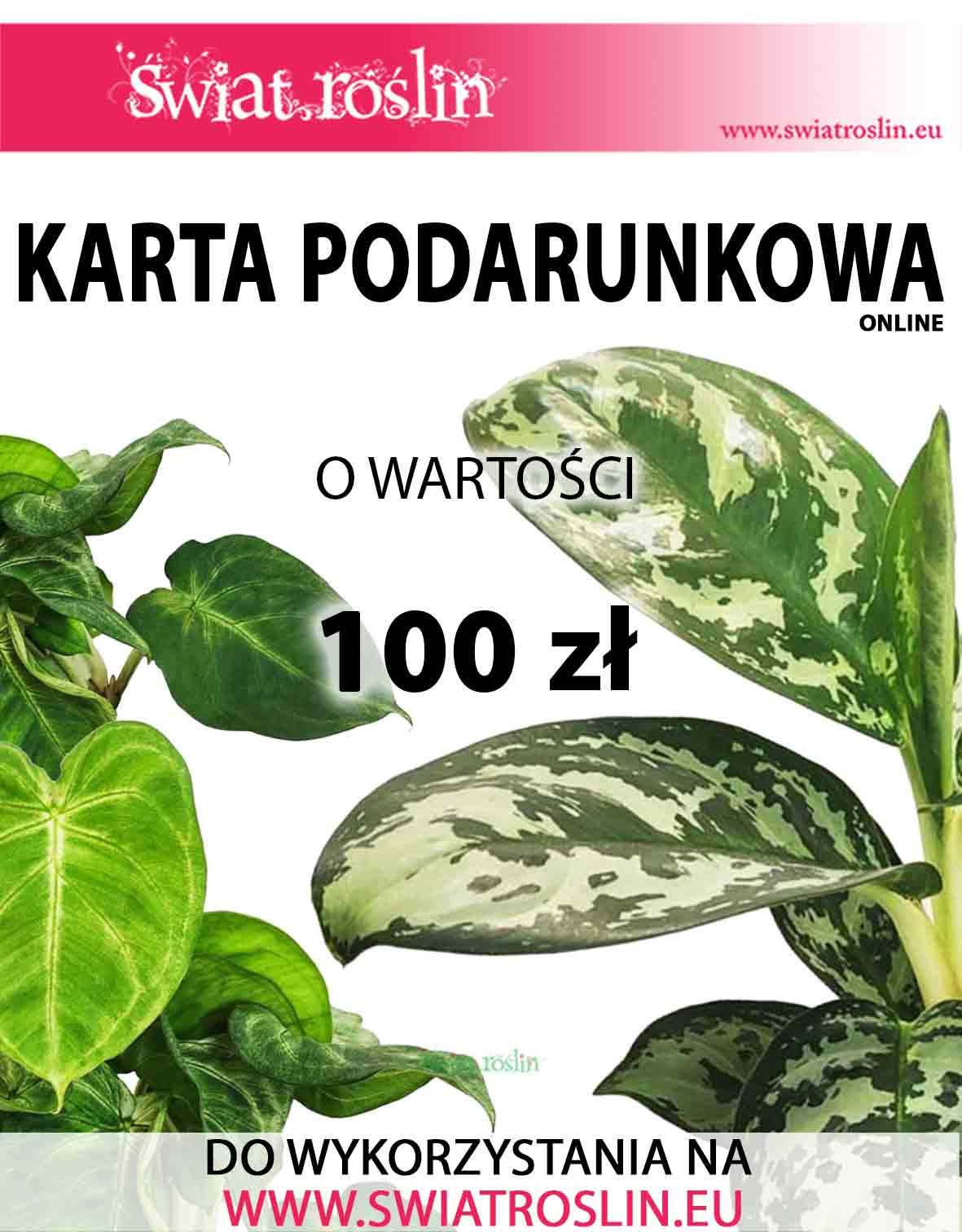 Karta podarunkowa na rośliny, Bon na rośliny, Voucher na rośliny doniczkowe, sklep online, 100 zł