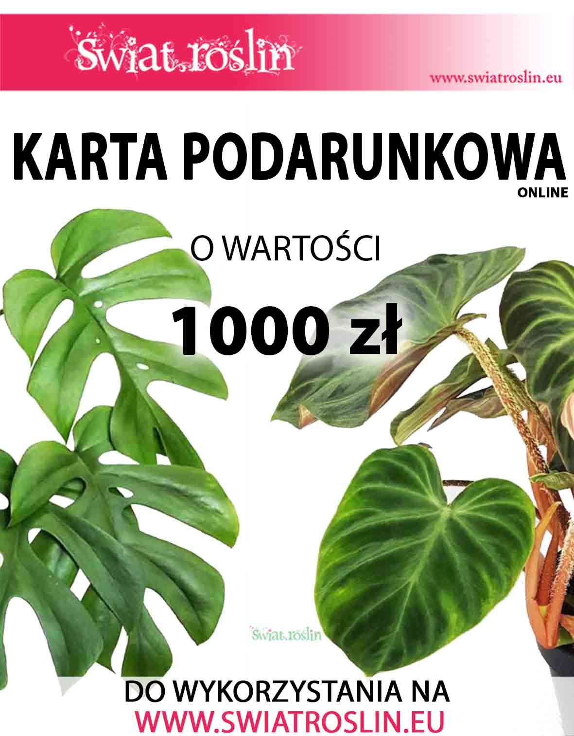 Karta podarunkowa na rośliny, Bon na rośliny, Voucher na rośliny doniczkowe, sklep online, 1000 zł