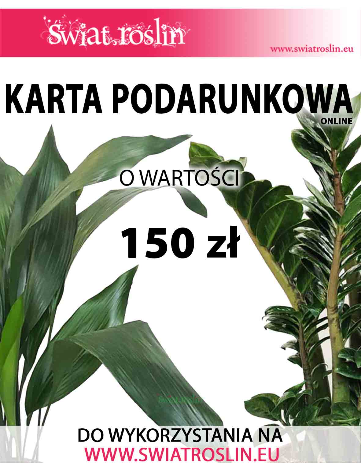 Karta podarunkowa na rośliny, Bon na rośliny, Voucher na rośliny doniczkowe, sklep online, 150 zł