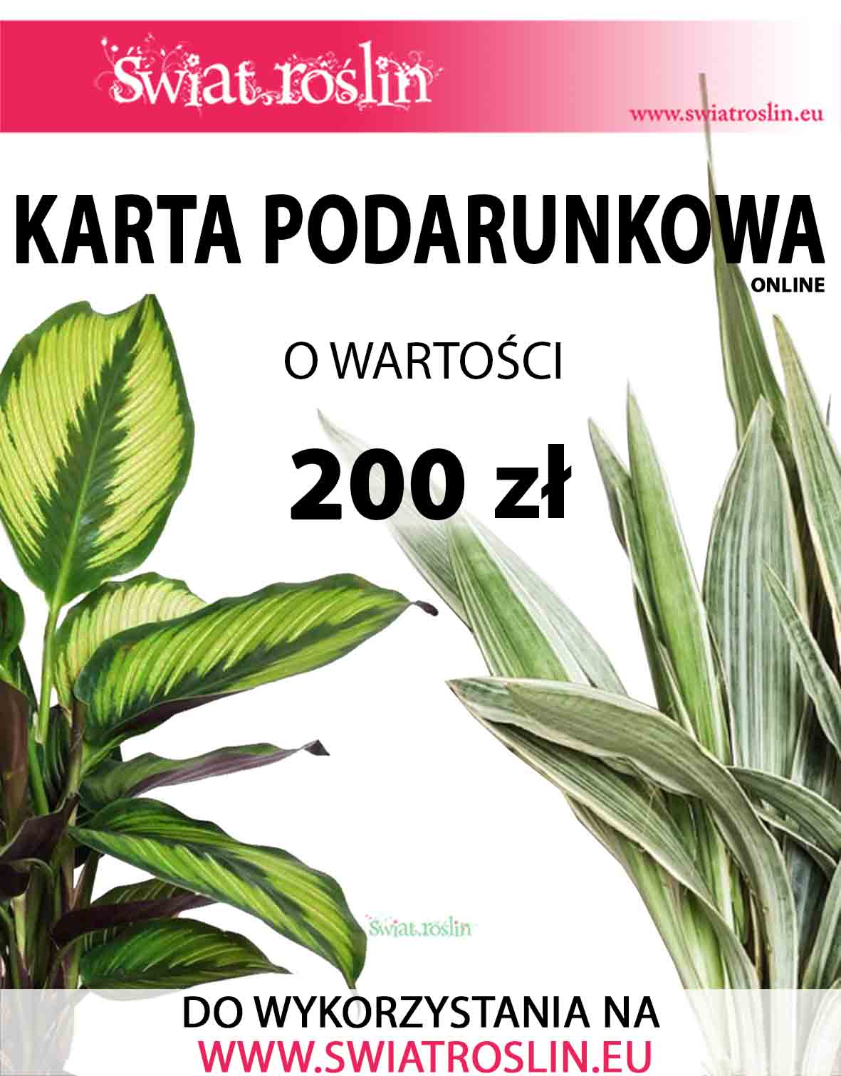 Karta podarunkowa na rośliny, Bon na rośliny, Voucher na rośliny doniczkowe, sklep online, 200 zł