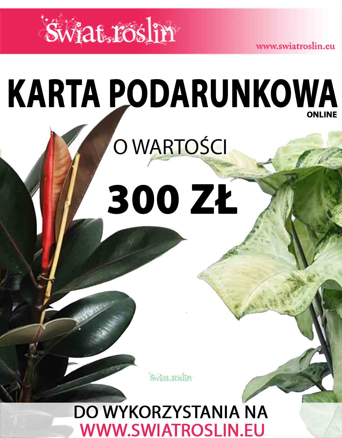 Karta podarunkowa na rośliny, Bon na rośliny, Voucher na rośliny doniczkowe, sklep online, 300 zł