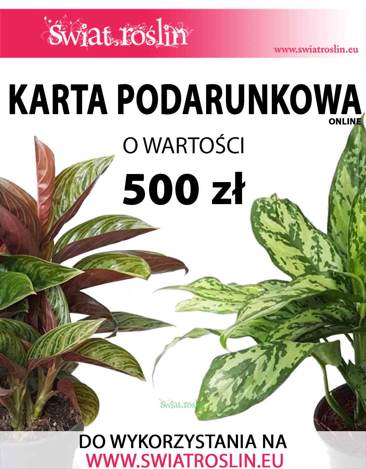 Karta podarunkowa na rośliny, Bon na rośliny, Voucher na rośliny doniczkowe, sklep online, 500 zł